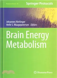 在飛比找三民網路書店優惠-Brain Energy Metabolism