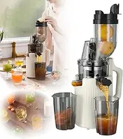Slow-Speed Masticating Juicer with 98% Pure Juice Rate, 600ML Silent Fresh Juicer, 200W + 9CM Diameter + 0.1MM Filter + Residue Juice Separation + Forward/Reverse Rotation,for Ginger/Celery,White