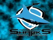 LAMINATED CRONULLA SHARKS TEAM POSTER,BARGAIN, NRL RUGBY