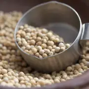 Bulk Full Case Whole White Peppercorn - 25 lb.