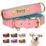 Personalised Dog Name Collar Custom Nameplate for Small Medium Large Dogs XS-XL