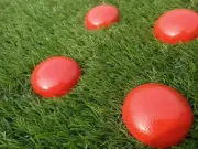NSY 10 Pack Orange Survey Akesproperty Survey Marker Permanentgarden Akessurvey