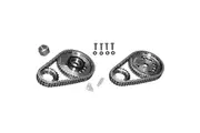 Rollmaster Double Row Timing Chain Set With Torrington Bearing Suit L98, Single Bolt Cam With Multi Trigger Sensor