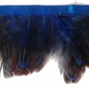 Almond Pheasant Feather Trimming per metre - Royal Blue