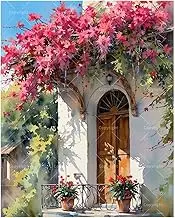 TAOPAOLAB Exquisite Balcony Paint by Numbers Kit for Adults - DIY Arched Door with Flowering Vines Painting on Canvas 16x20 Inches, Acrylic Paint Set for Beginners, Art for Home Decoration or Gifts