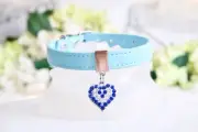 NEW Luxury Robin Egg Blue Crystal Heart Pet Collar Tiffani Blue Vegan Dog Collar