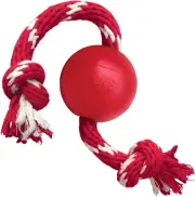 KONG - Ball with Rope - Durable Rubber, Fetch and Chew Toy - for Small Dogs S...