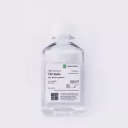 TAE Buffer Solution | 50X Stock | 500ml
