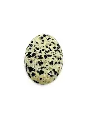 Natural Multicolor Dalmation Jasper Oval Cabochon - 44.80cts