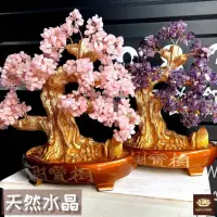 在飛比找momo購物網優惠-【PiNYU 品柚生活傢飾館】天然水晶發財樹(天然水晶大號招