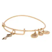 NEW Alex and Ani Skeleton Key Bracelet - Gold Toned Adjustable Size