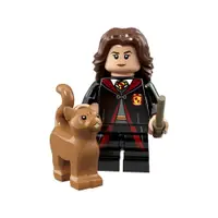 在飛比找蝦皮購物優惠-LEGO 71022 2號 Hermione Granger