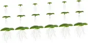 SUPVOX 6 Pack Floating Duckweed Plants for Aquarium Decor Mini Artificial Aquarium Plants with Roots Nonpolluting Decorative Grass for Fish Tanks and Simulation