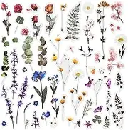 12 Sheets Scrapbook Stickers Flower Stickers Decoration Sticker Planner Stickers Assorted Plant Stickers Clear PET for Scrapbooking Diary Album Journals DIY Arts and Crafts (Flower)