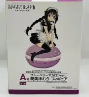 Japan Authentic Ichiban Kuji Homura Akemi Blueberry Macaron Ver. Figure