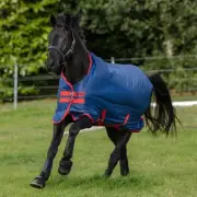 Amigo Mio Turnout Medium Weight Blanket- Various Sizes