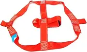 Motorcycle & Electric Bike Rear Wheel Tie Down Straps - Heavy-Duty Securing Straps with Ratchet Buckle, Cargo Fastening Straps for Transport & Storage, Includes PE Bag for Easy Storage - Fit