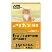 Advocate Cat and Kittens 0-4 kg Small 6's Orange