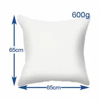 在飛比找PChome24h購物優惠-65x65cm抱枕棉心(600g)