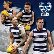2025 AFL Geelong Cats Wall Calendar