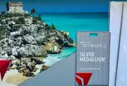 BRAND NEW 2025 METAL Delta Silver Medallion Bag Brag Tag with Metal Cord!