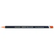 Derwent Procolour Pencil Burnt Yellow Ochre