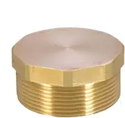 NPT Fittings | NPT Connector Pipe Plug Fittings | Water Pipe Plug, Blanking Plug Fitting, Portable Port Plug for Brass Socket Fitting Manifold Nut