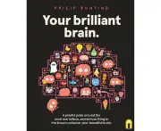 Your Brilliant Brain
