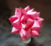 neon pink handmade paper flower on stem