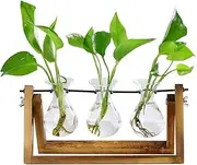 Plant Terrarium Wooden Stand Propagation Stations Glass Hydroponics Bulb Vase Desk Plants Holder for Gardening Office Home Decor 3 Glass Vase