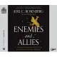 Enemies and Allies: An Unforgettable Journey Inside the Fast-Moving & Immensely Turbulent Modern Middle East