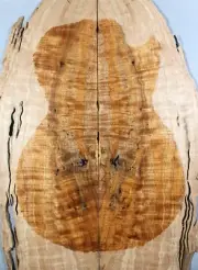 Figure Electric Bass/Guitar Top Ripple Maple Wood Worm-hole For Stabilized Make