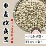 根正嚴選｜非基因改造黃豆 600G DG品牌 豆香味濃郁 加拿大產 NON-GMO SOYBEANS 加拿大產