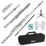 Closed Hole C Flute, 16 Keys Instrument for Beginners, Kids, Student, Silver-...