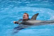Jari Matti Latvala (FIN) Ford swims with a dolphin 2011 WRC Old Photo