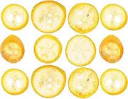 SHINEOFI 12Pcs Dried Pressed Orange Specimen Dried Pressed Fruit Slices Funny Orange Chips for DIY Jewelry Phone Cases Crafts Scrapbooking Candle Making Supplies