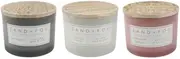 Sand & Fog Scented Candles with Carved Wood Lids, 12 oz, Set of 3