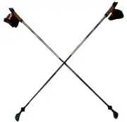 LEKI Nordic Walking Ultra Carbon HTS 6.0 Series Trekking Pole Silver 120cm/48in