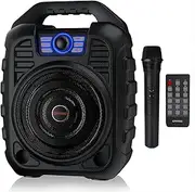 EARISE T26 Portable Bluetooth PA Speaker System with Wireless Microphone, 12W Karaoke Machine for Party/Outdoors, 3600mAh Battery, FM Radio, Audio Recording, Remote Control, Supports TF Card/USB/AUX