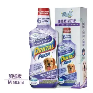 潔牙白Dental Fresh-加強版潔牙液 503ml(4入組) (下標數量2+送全家禮卷50元)