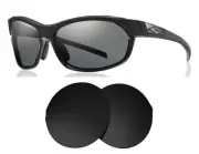 Seek Optics Replacement Replacement Lenses for Smith Pivlock Overdrive