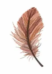 Brown Feather Embroidered Iron on/Sew Patch [6" x 3.2"]