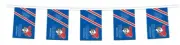 Newcastle Knights NRL Bunting hanging Flag Banner 5m long with 12 flags man cave