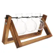 Green Plant Container Desktop Planter Terrarium Simple Planting Vase