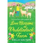 LOVE BLOSSOMS AT PUDDLEDUCK FARM