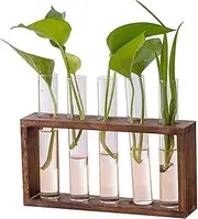 Desktop Glass Plant Propagation Station with 5 Test Tubes in Wooden Stand, Tabletop Glass Terrarium for Propagating Hydroponics Plants, Hydroponic Plants Cutting Office Home Garden Party Decoration