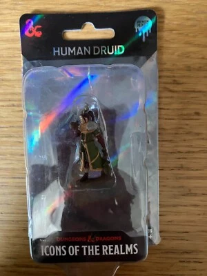 D&D Icons of the Realms Premium Miniatures ~ Human Female Druid with Horns