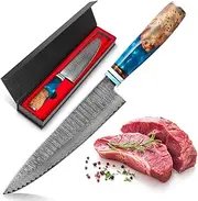 8 Inch Kitchen Knife, Damascus Steel Chef Knife Kitchen Knife Slicing Hammered Forging Cooking Knife Professional Chef's Knife with Resin Handle for Meat, Vegetable Shredding