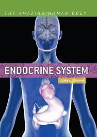 在飛比找博客來優惠-Endocrine System