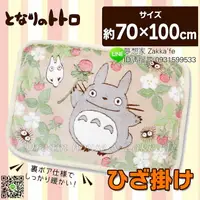 在飛比找樂天市場購物網優惠-日本 宮崎駿 龍貓 Totoro 野莓 兒童被/午休被/被子